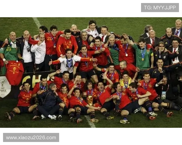 14年世界杯冠军:南非世界杯西班牙队的夺冠过程中的关键比赛与精彩瞬间